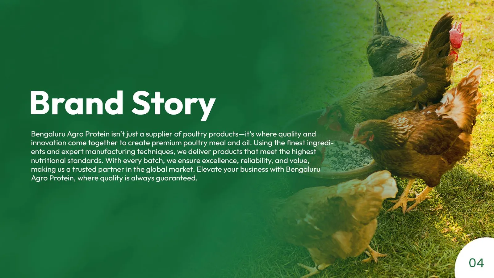 Bengaluru Agro Proteins brand book: brand story