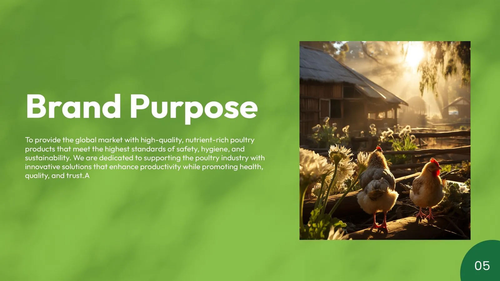 Bengaluru Agro Proteins brand book: brand purpose