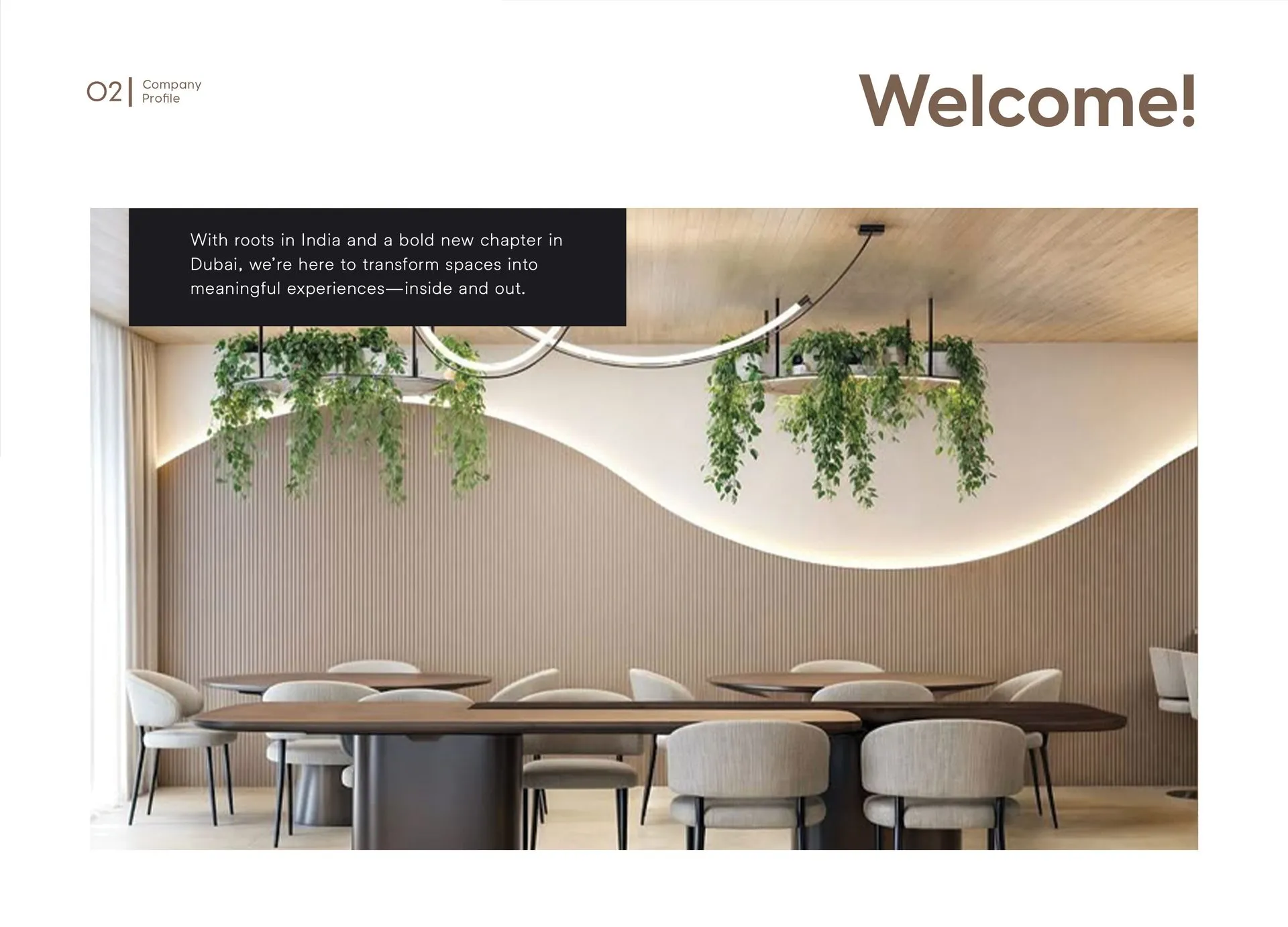 Lines & Curves company profile: welcome
