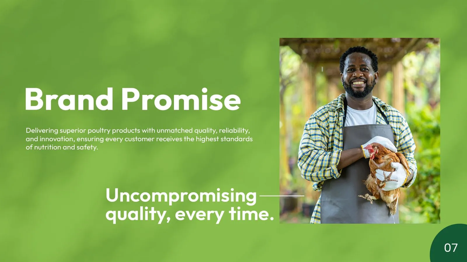 Bengaluru Agro Proteins brand book: brand promise