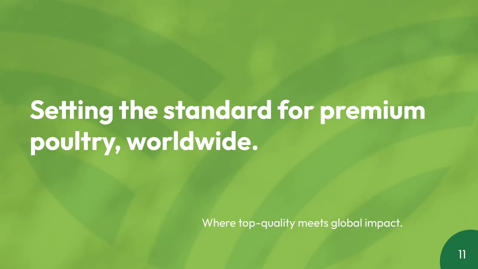 Bengaluru Agro Proteins brand book: brand line