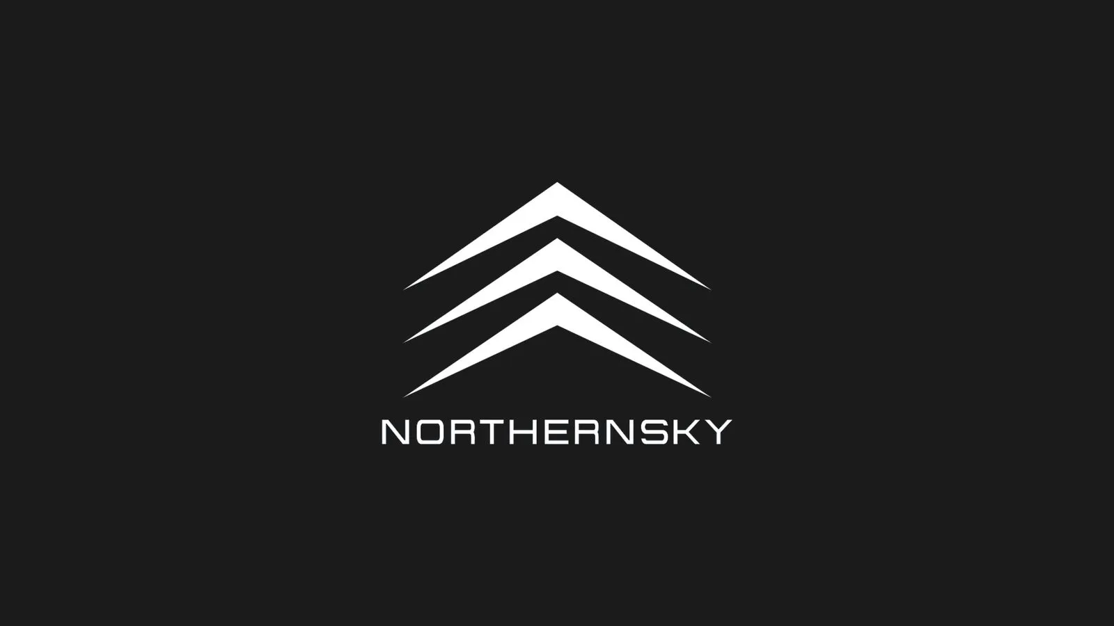 Northernsky logo