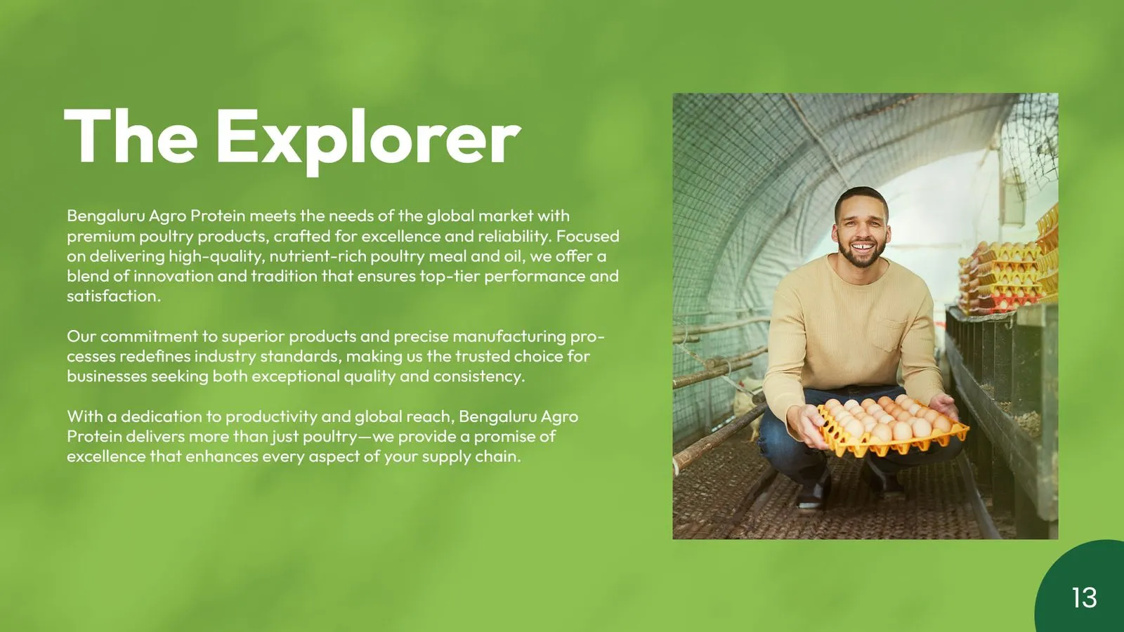Bengaluru Agro Proteins brand book: brand archetype: the explorer
