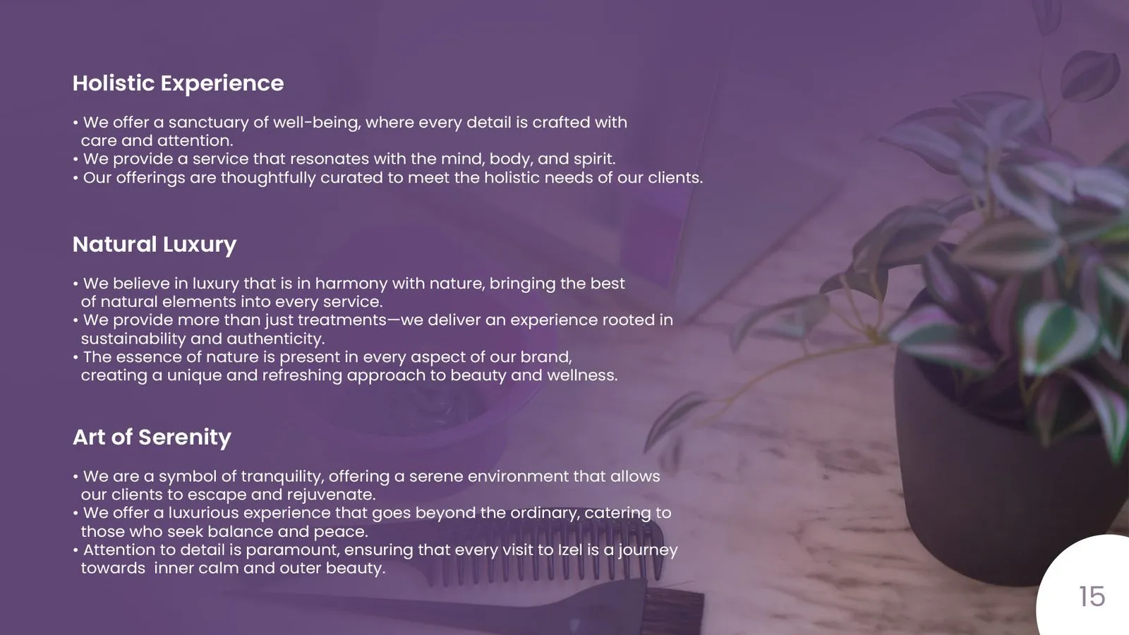 Izel brand book: brand values