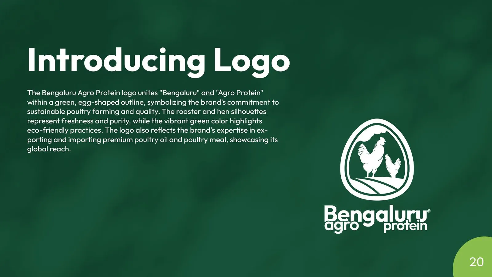 Bengaluru Agro Proteins brand book: logo introduction