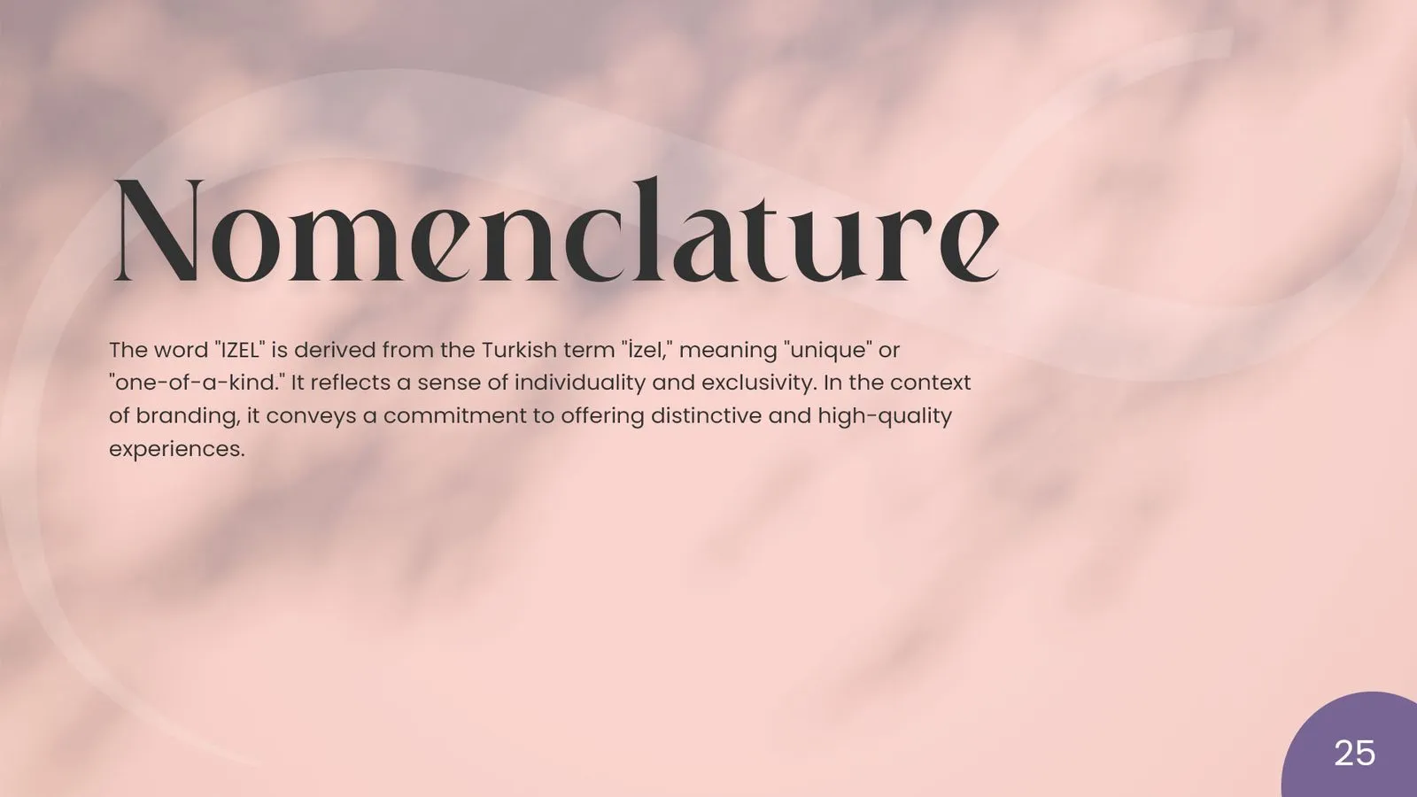 Izel brand book: nomenclature
