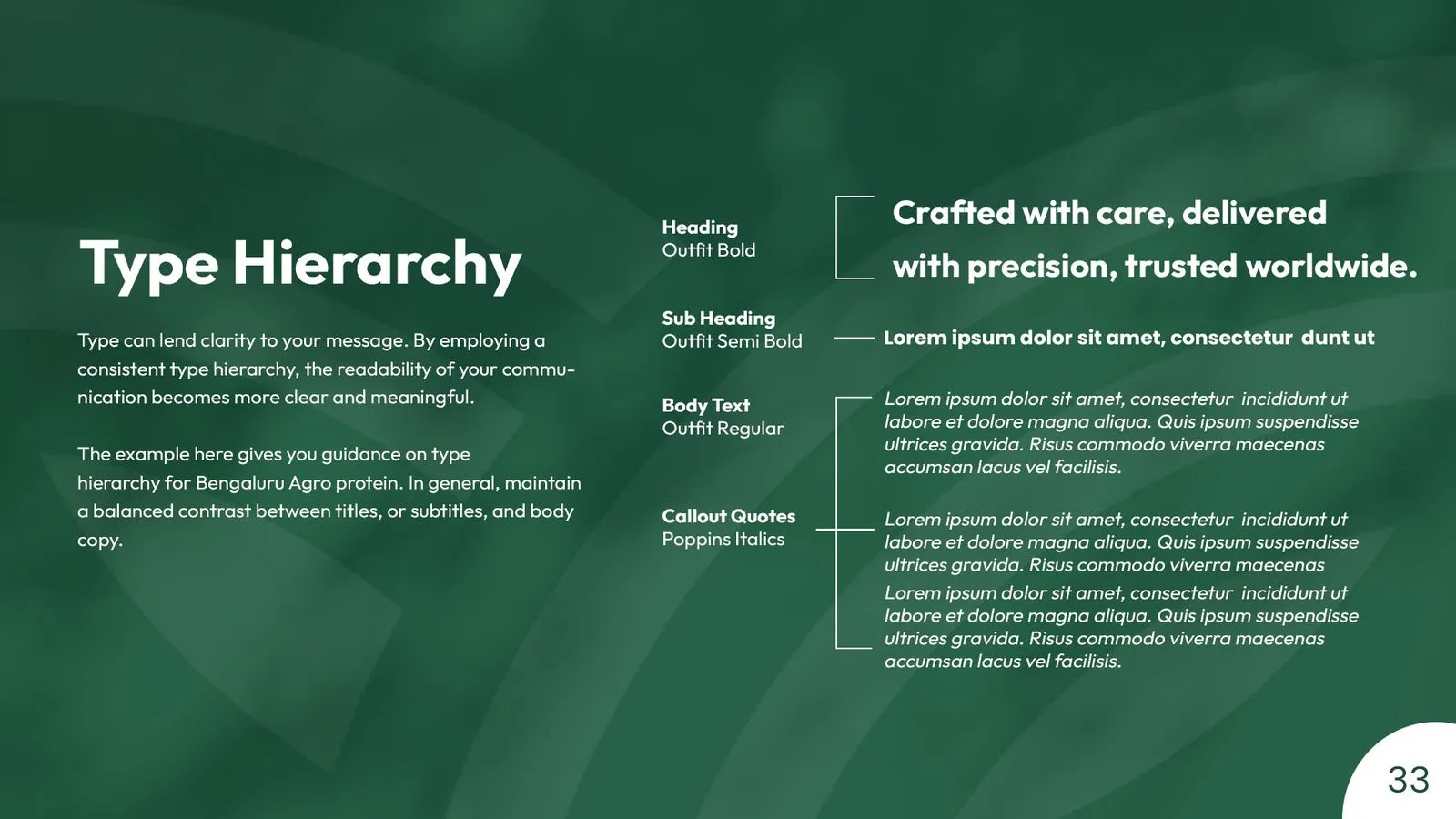 Bengaluru Agro Proteins brand book: type hierarchy