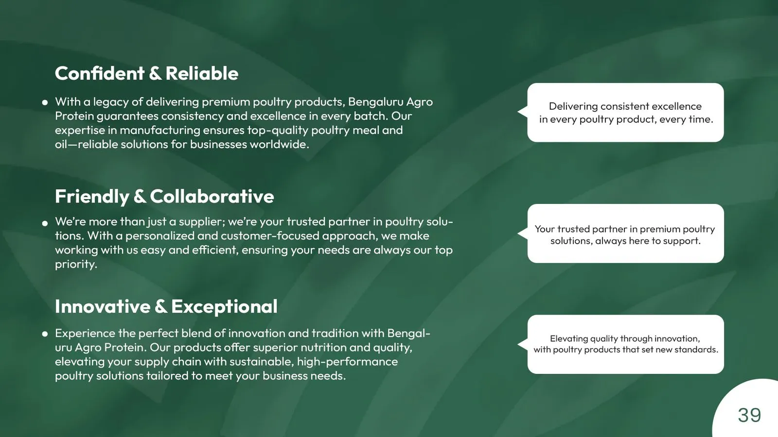 Bengaluru Agro Proteins brand book: tone of voice