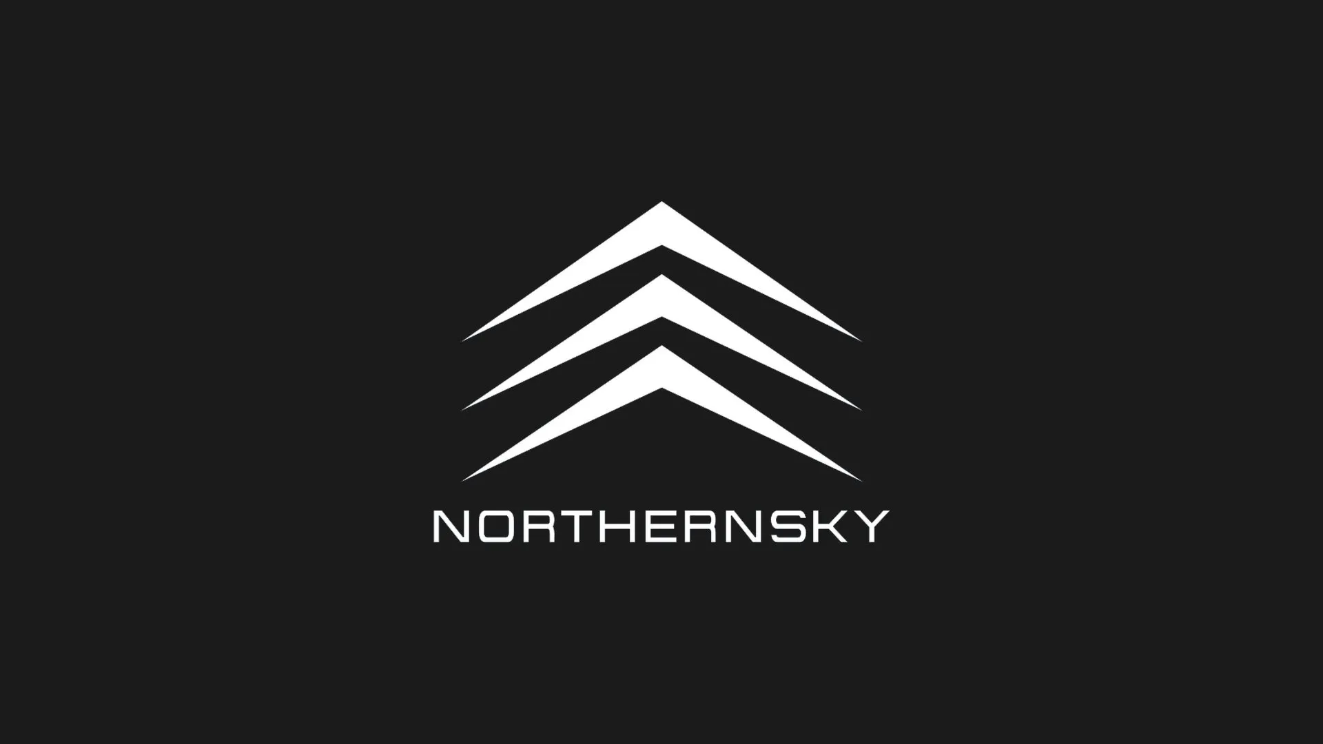 Northernsky logo