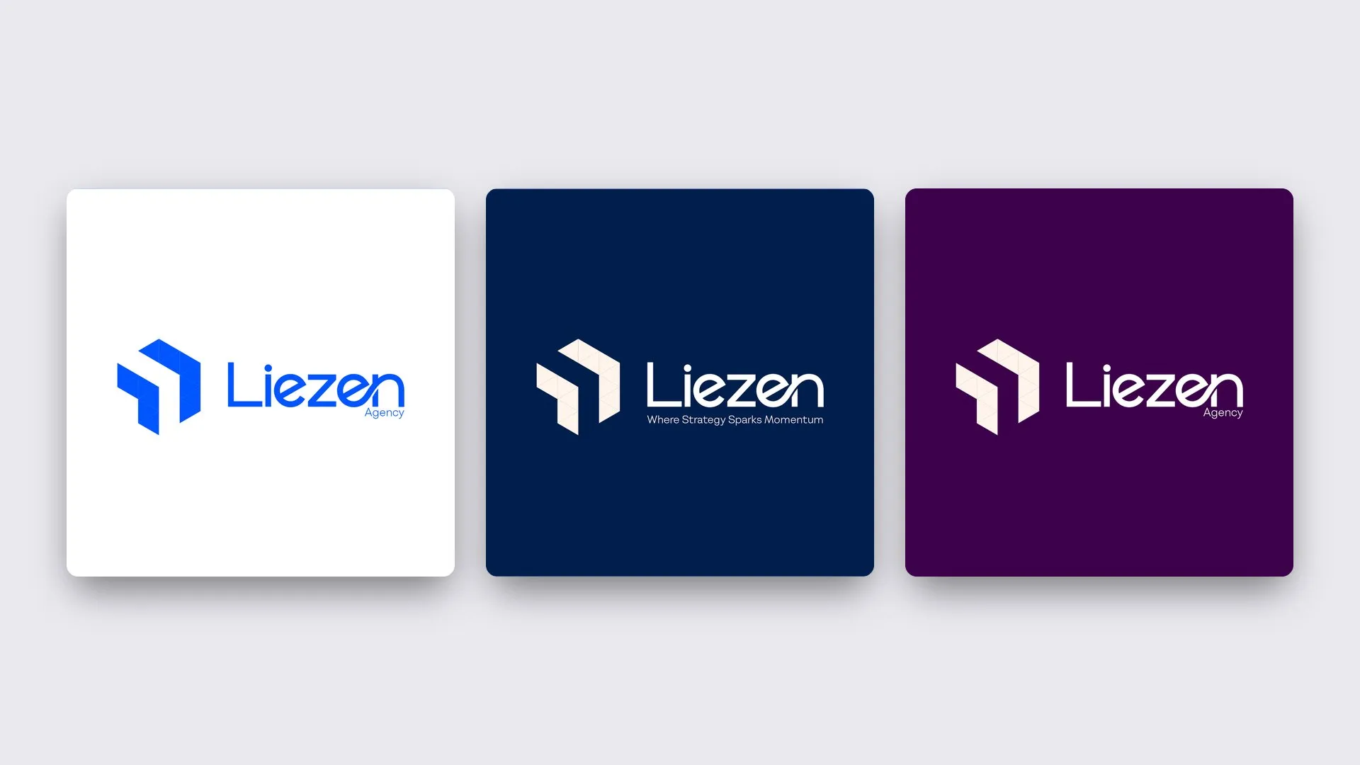 Liezen logo in white, navy and purple versions